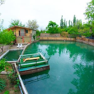 Amiran'S Lake